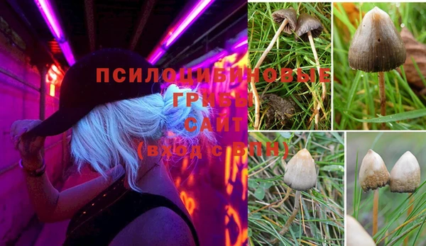 мяу мяу кристалл Белокуриха